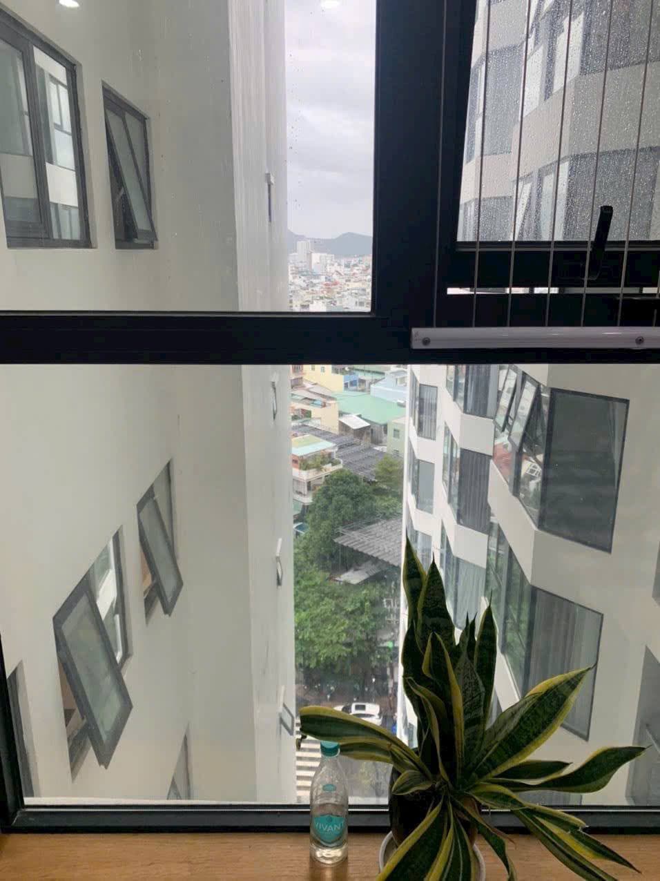 1 BR Apt — 5