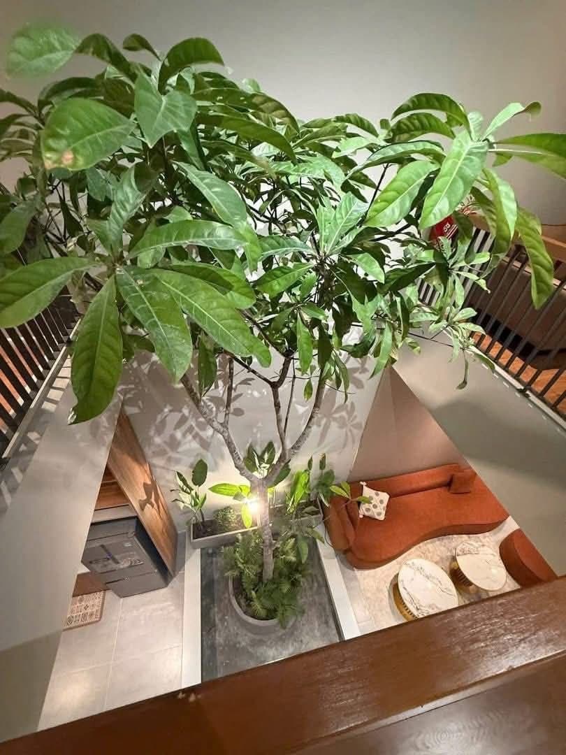 House for rent — 2