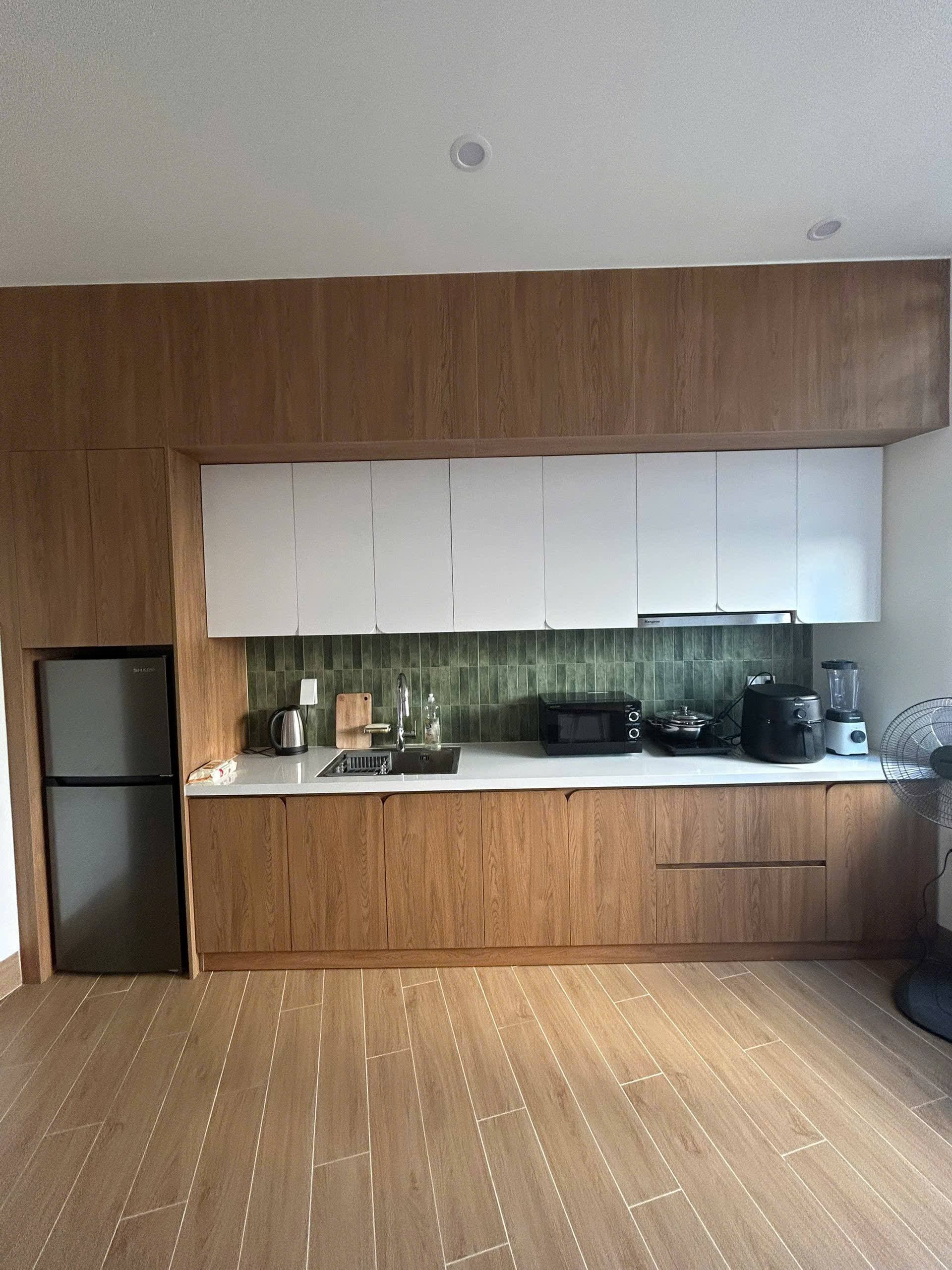 1 BR Apt