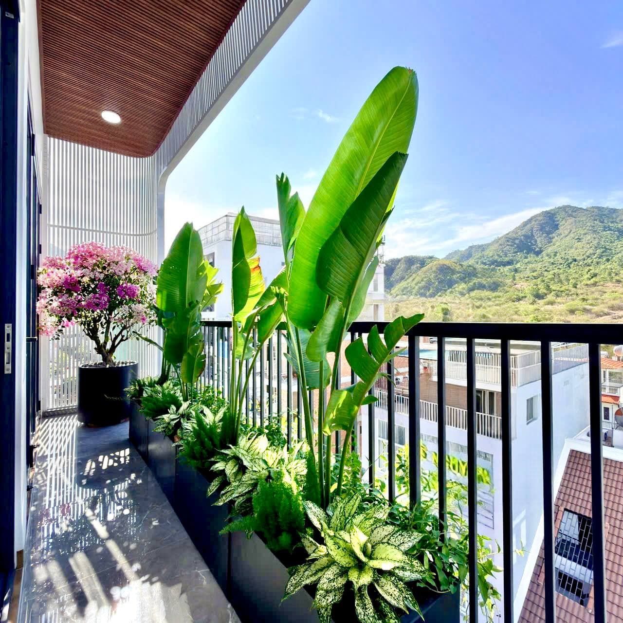 1 BR Apt — 5