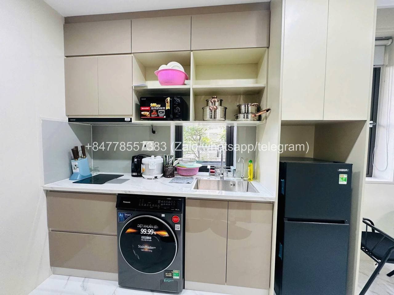 1 BR Apt