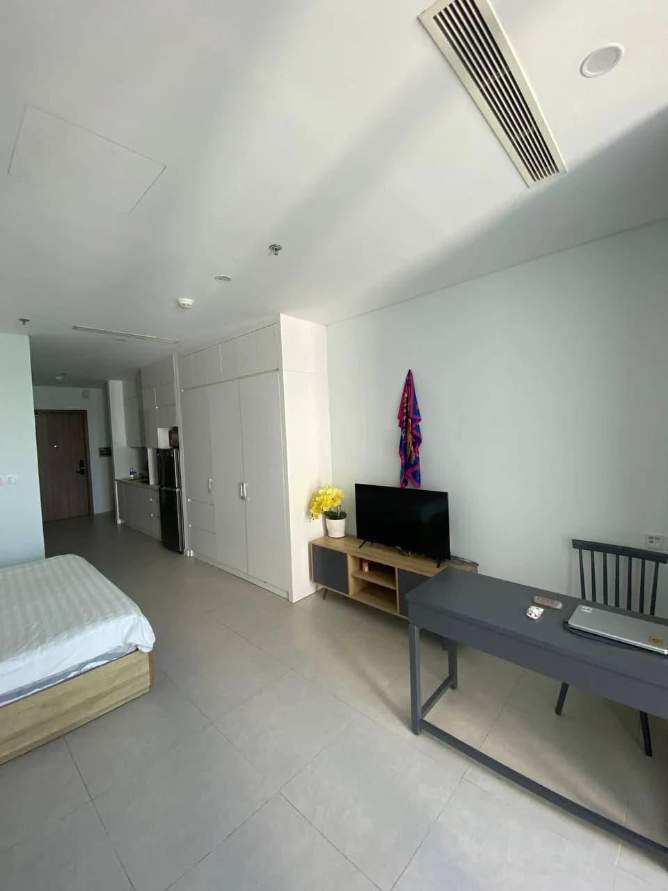 Studio — Scenia Bay